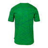 KIT UHLSPORT PREDICTION GOALKEEPER BUNDLE (verde)