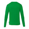 CAMISOLA DE GUARDA-REDES UHLSPORT PREDITION (verde)